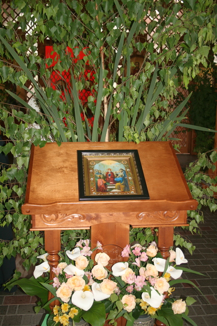5-IMG_0732.JPG
