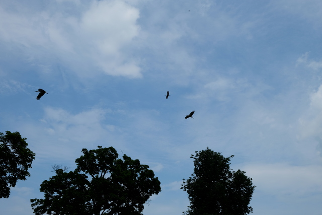 67-DSCF8627.JPG