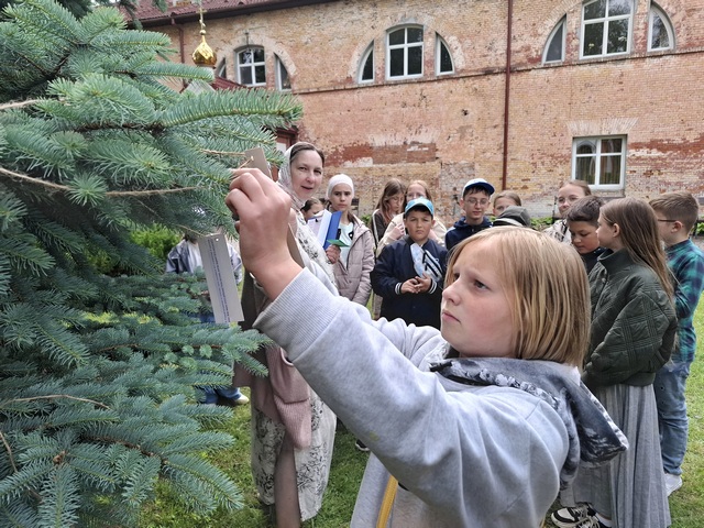 6-20250612_122712.jpg