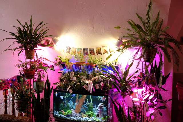 DSCF0901.JPG