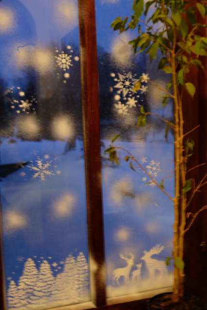 DSCF0934.JPG