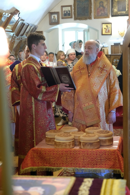 DSCF3125.JPG