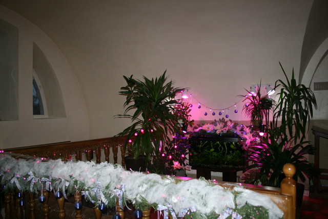 IMG_3206.JPG