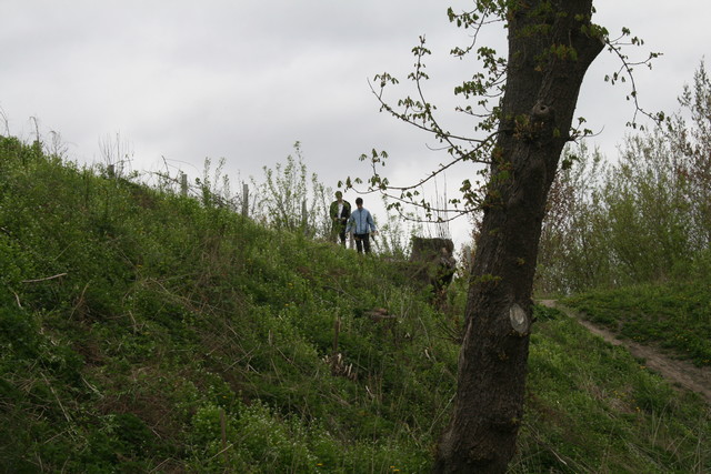 IMG_8462.JPG